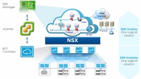 Learning the Terminology