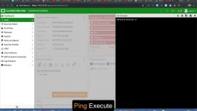 16 – Execute Ping – Fortigate Admin Crash Course-1 thumbnail