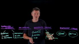 Machine Learning Explained- A Guide to ML, AI, & Deep Learning_720.mp4_snapshot_07.35.488