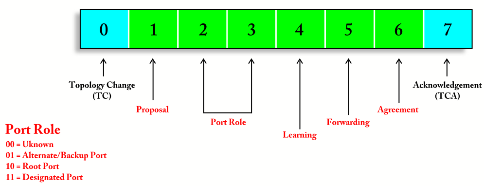 Network Loop Prevention with the Rapid Spanning Tree Protocol (RSTP)