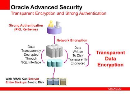 Oracle Advanced Security چیست