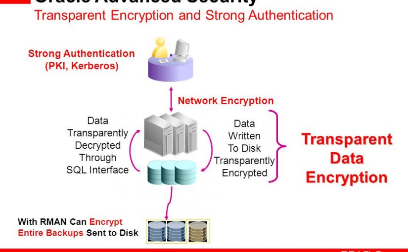 بررسی Oracle Advanced Security و قابلیت‌های آن