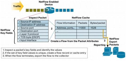 بررسی تکنولوژی Cisco IOS Flexible NetFlow