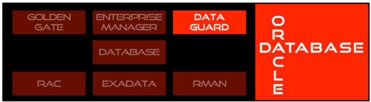 همه چیز درباره Oracle Data Guard