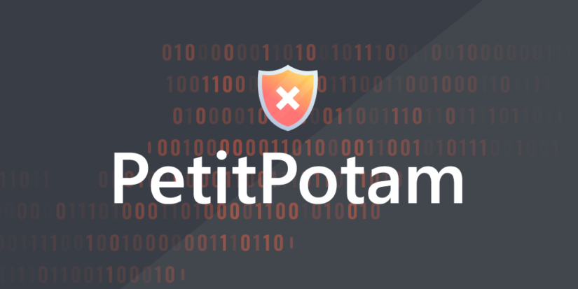 حمله PetitPotam چیست؟ معرفی و بررسی آن به عنوان نوع جدیدی از حملات NTLM relay